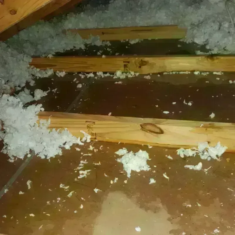 Attic Water Damage in Spirit Lake, IA