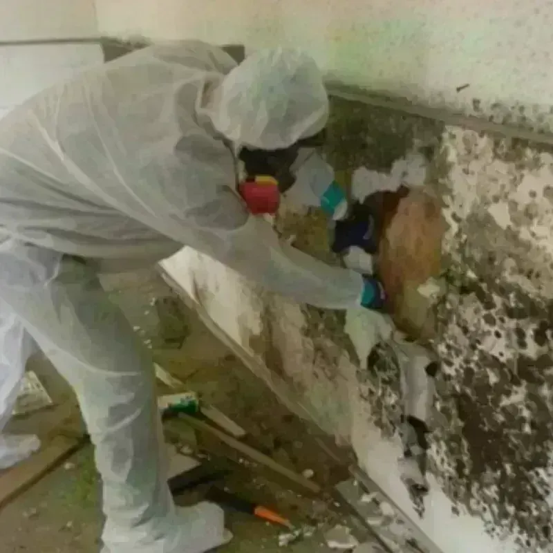 Mold Remediation and Removal in Spirit Lake, IA