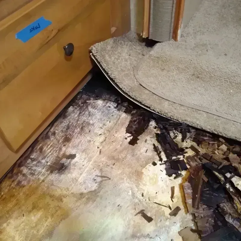 Wood Floor Water Damage in Spirit Lake, IA